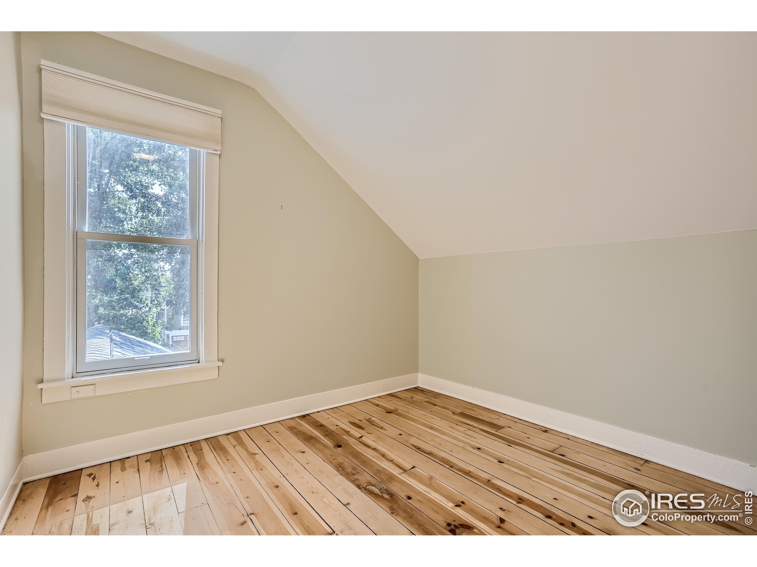 1714 Pine St A and B