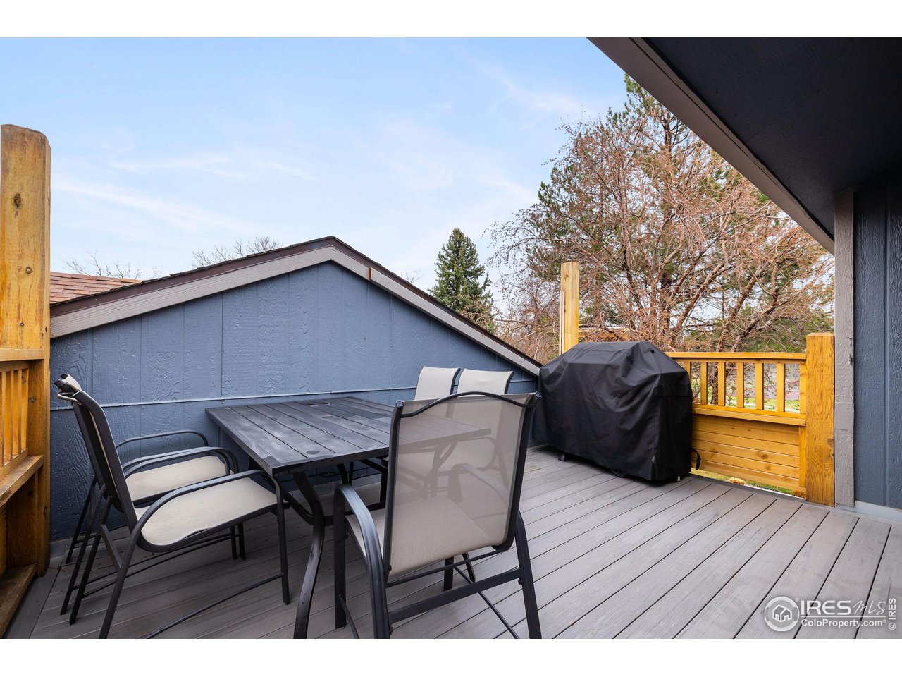 1095 Tantra Park Cir