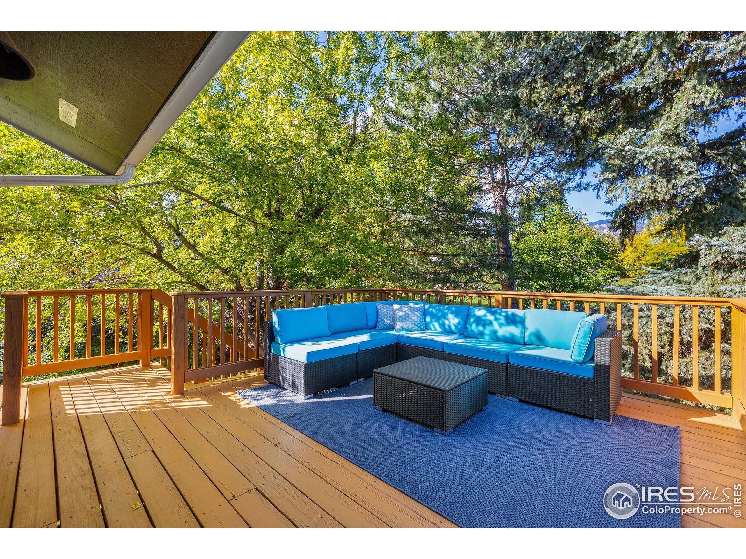 1019 Tantra Park Cir