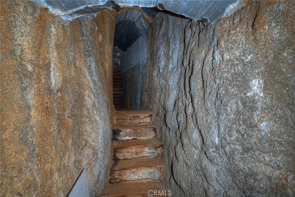 2175 Robinson Street