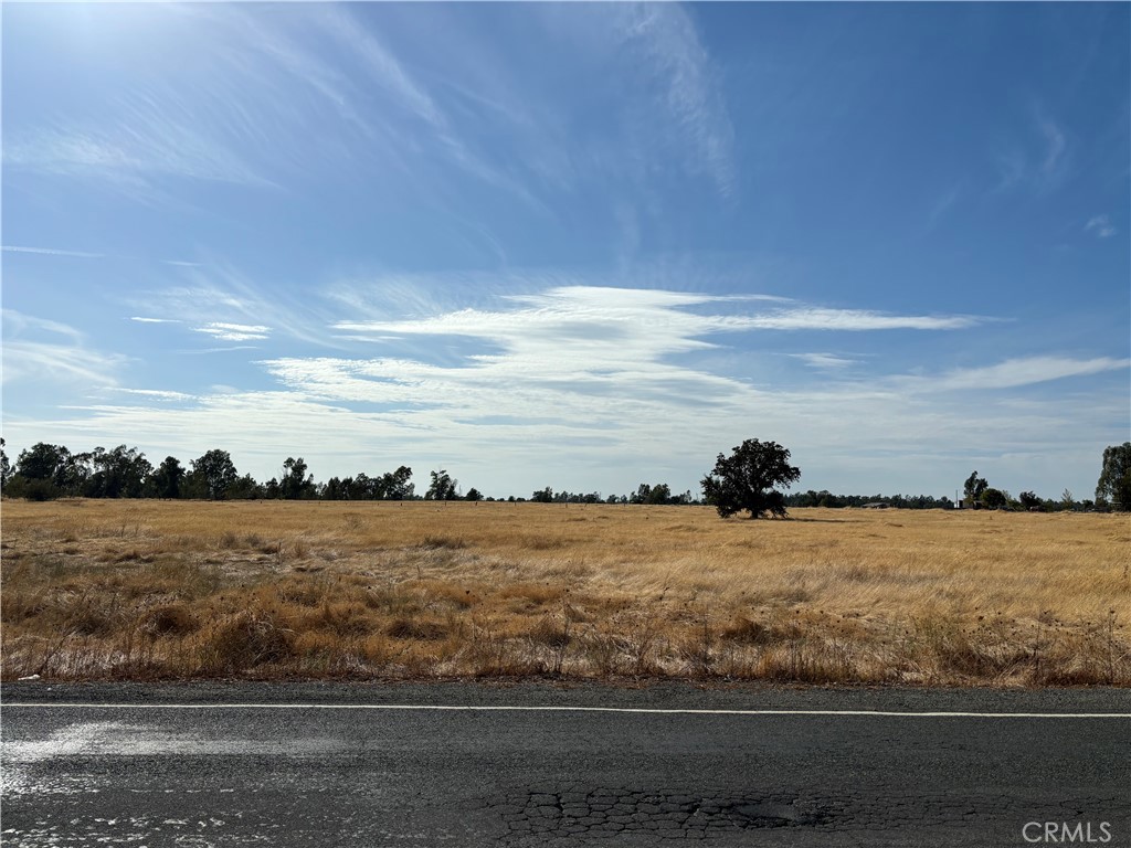 Vacant grassy lot beside a paved road, with scattered trees and a wide, cloud-streaked sky.
