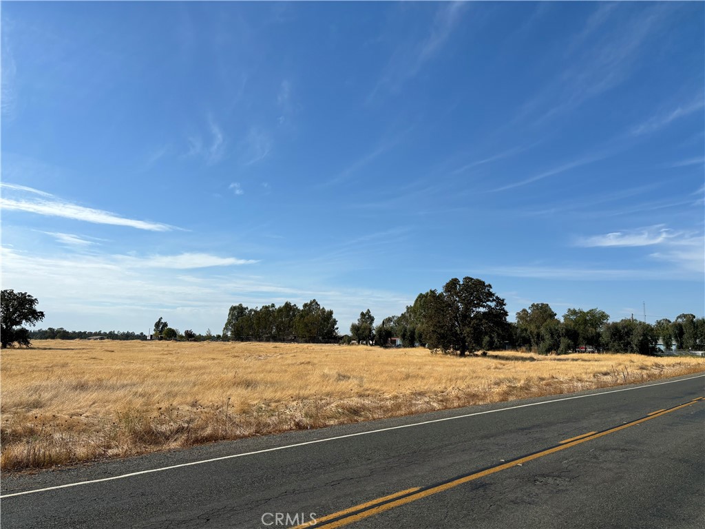 Vacant grassy parcel beside a two-lane road, with scattered trees and a wide blue sky.