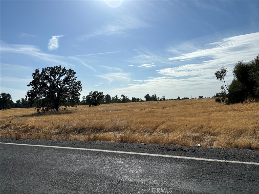 Vacant grassy land with scattered trees bordering a paved road.