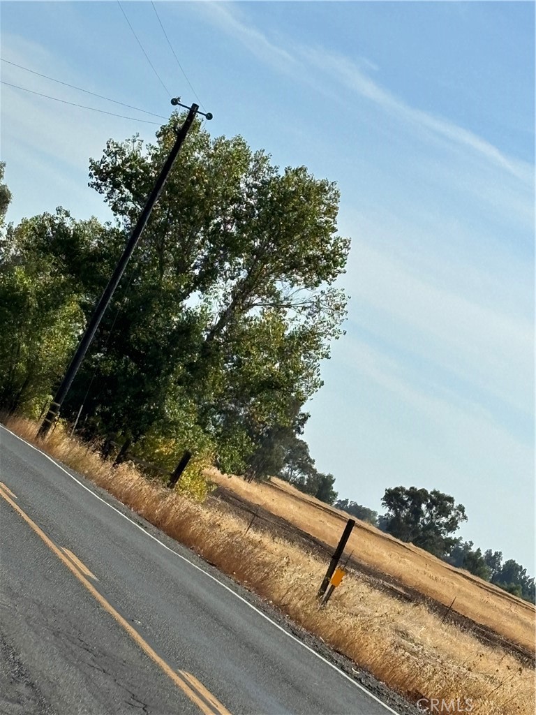 Vacant rural land beside a two-lane road, with dry grassland, scattered trees, and a utility pole.