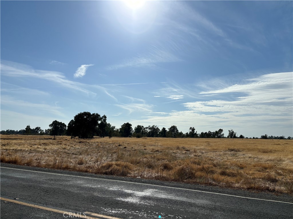 Vacant dry grassland lot beside a paved road, with scattered trees and a wide blue sky.