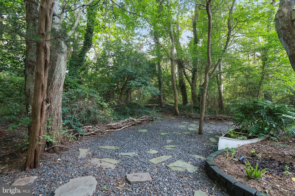22 Birdsall St