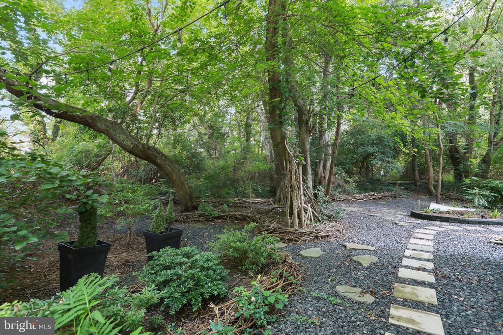 22 Birdsall St
