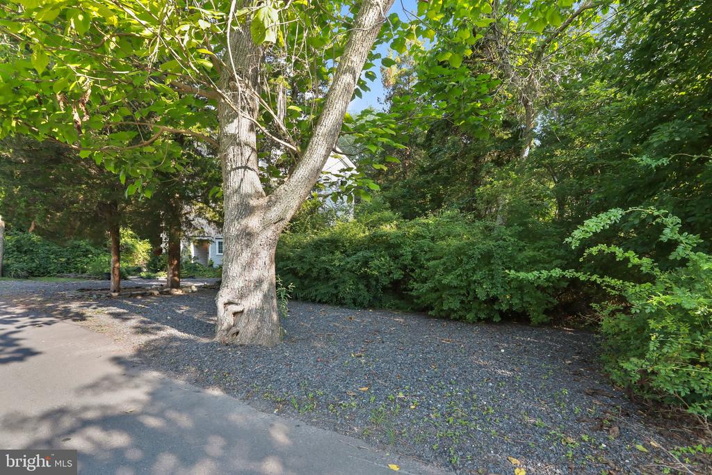 22 Birdsall St