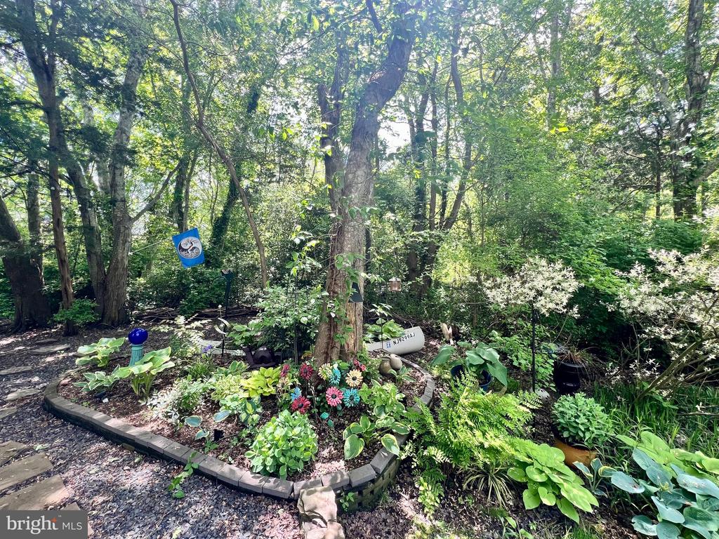 22 Birdsall St