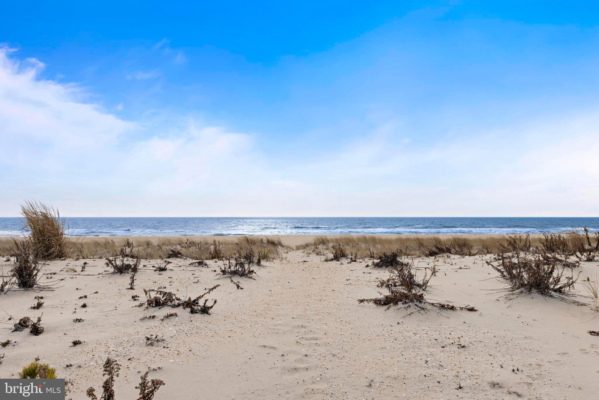 12103 Ocean Ave