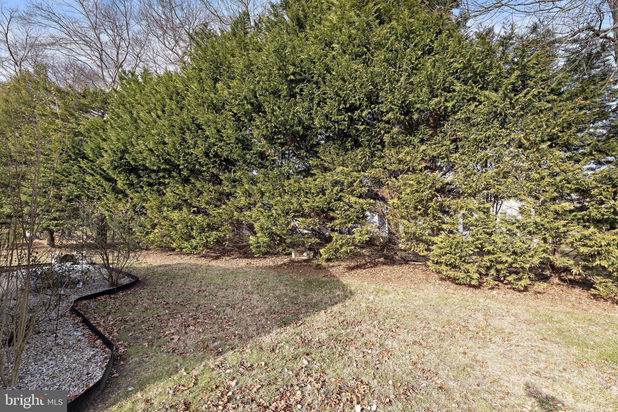 256 VALLEY FORGE DRIVE