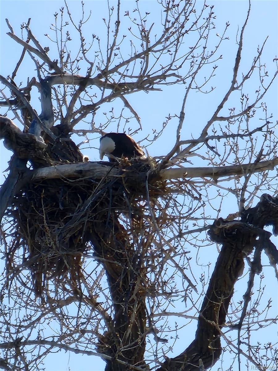 7080 W Stetson Place Unit: 19