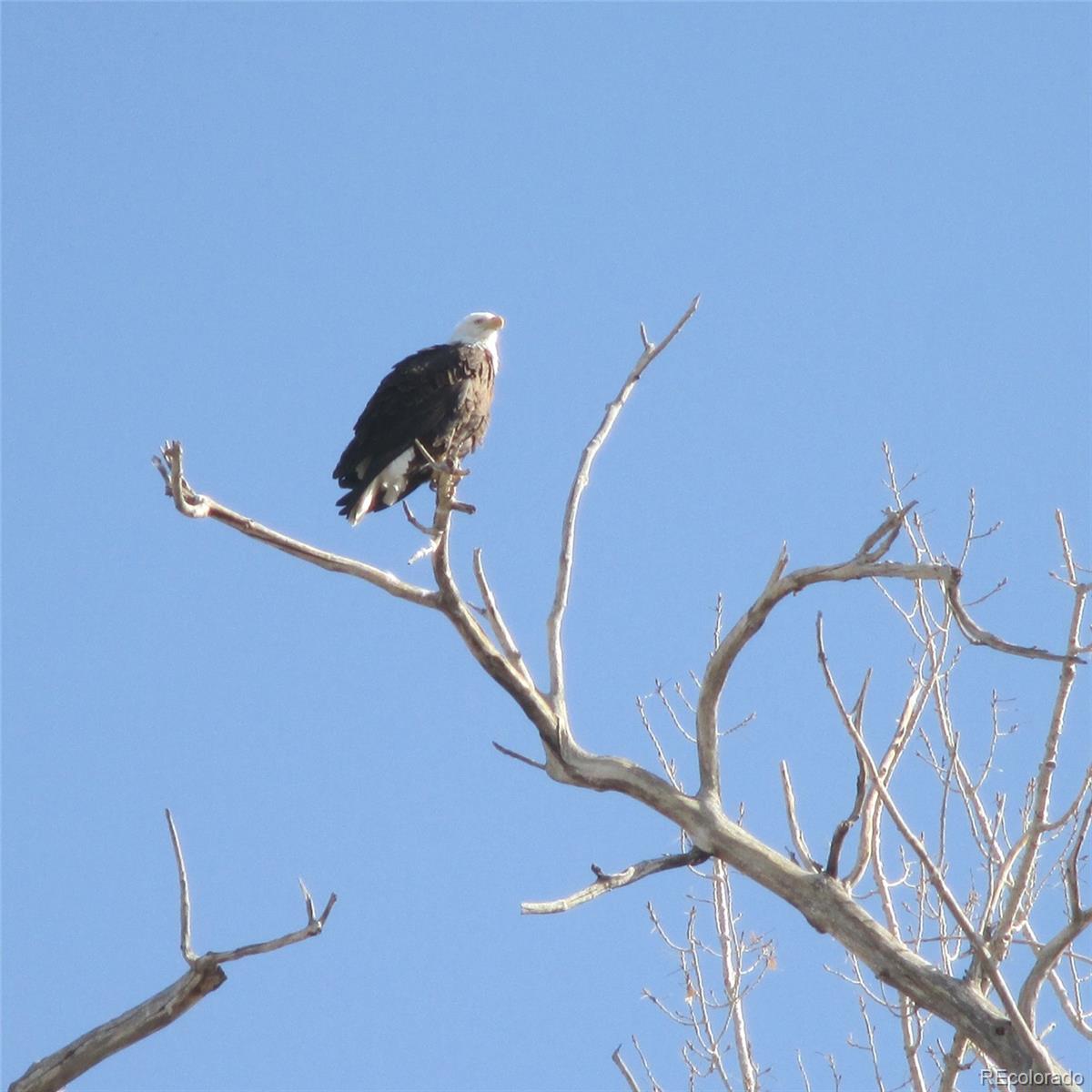 7080 W Stetson Place Unit: 19