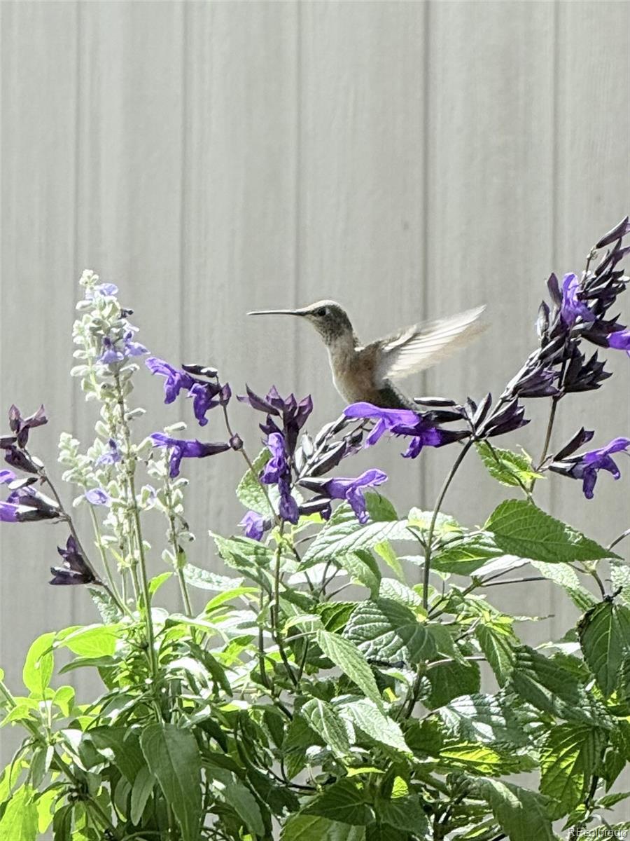 7080 W Stetson Place Unit: 19