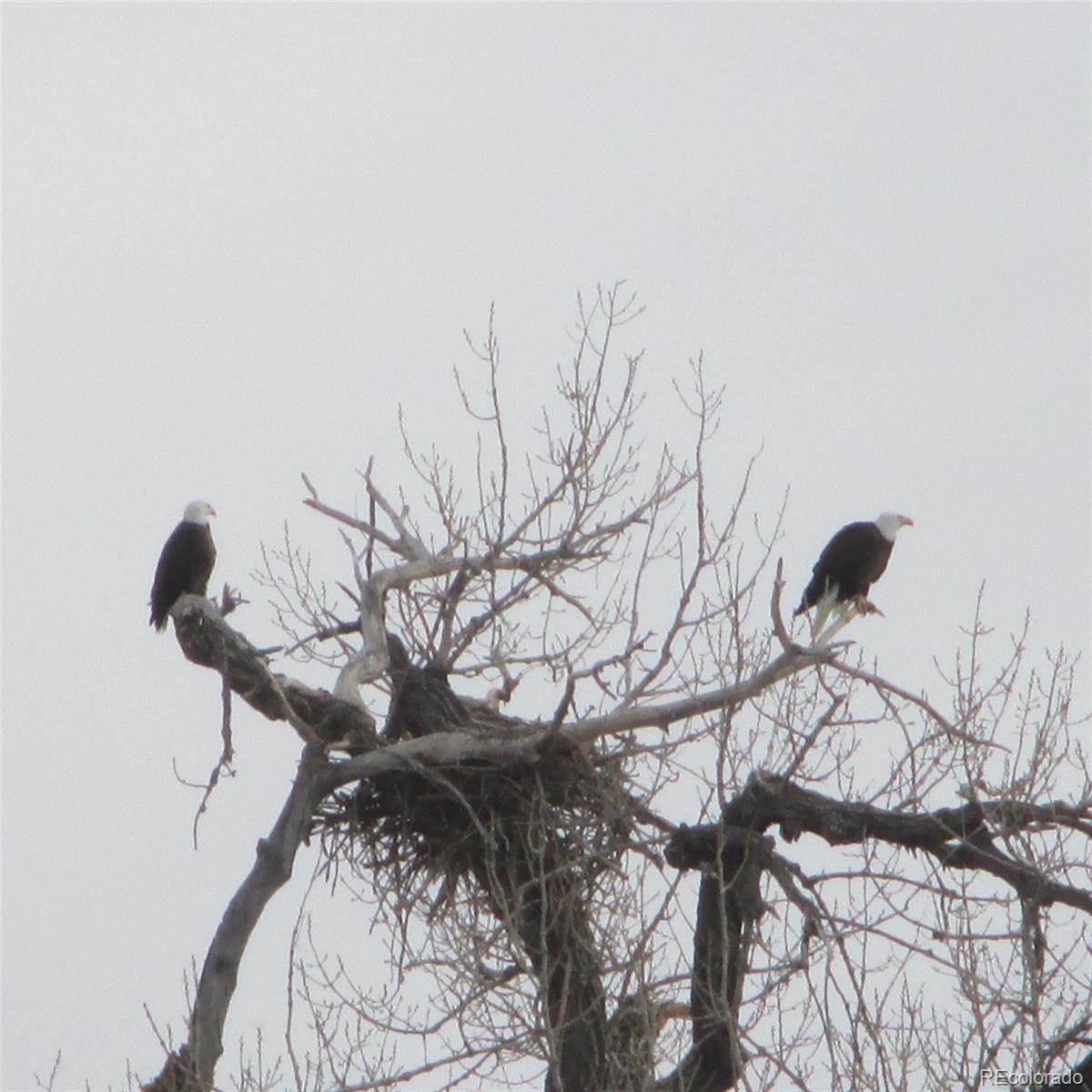 7080 W Stetson Place Unit: 19