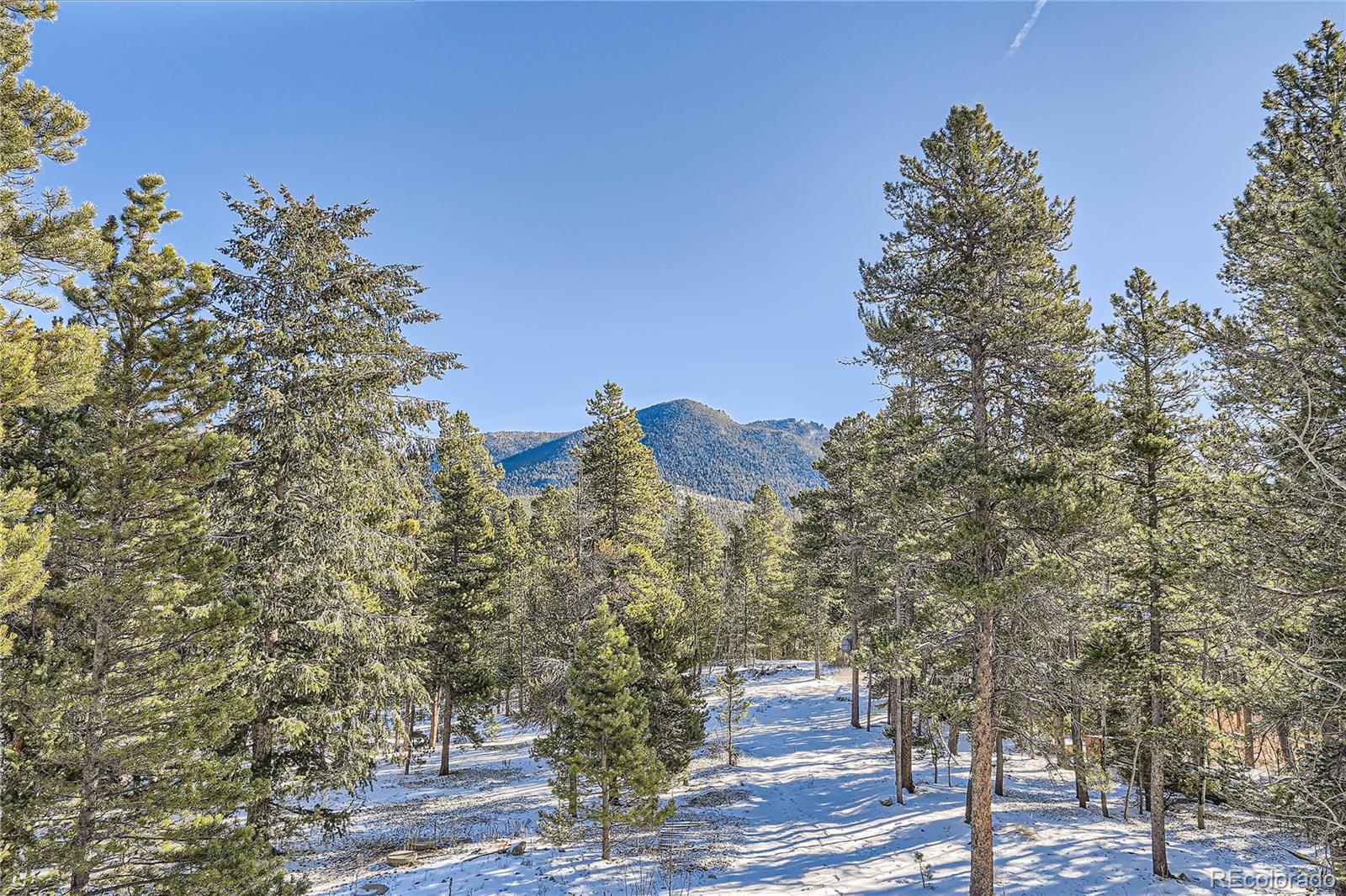 142 Tschaikovsky Road