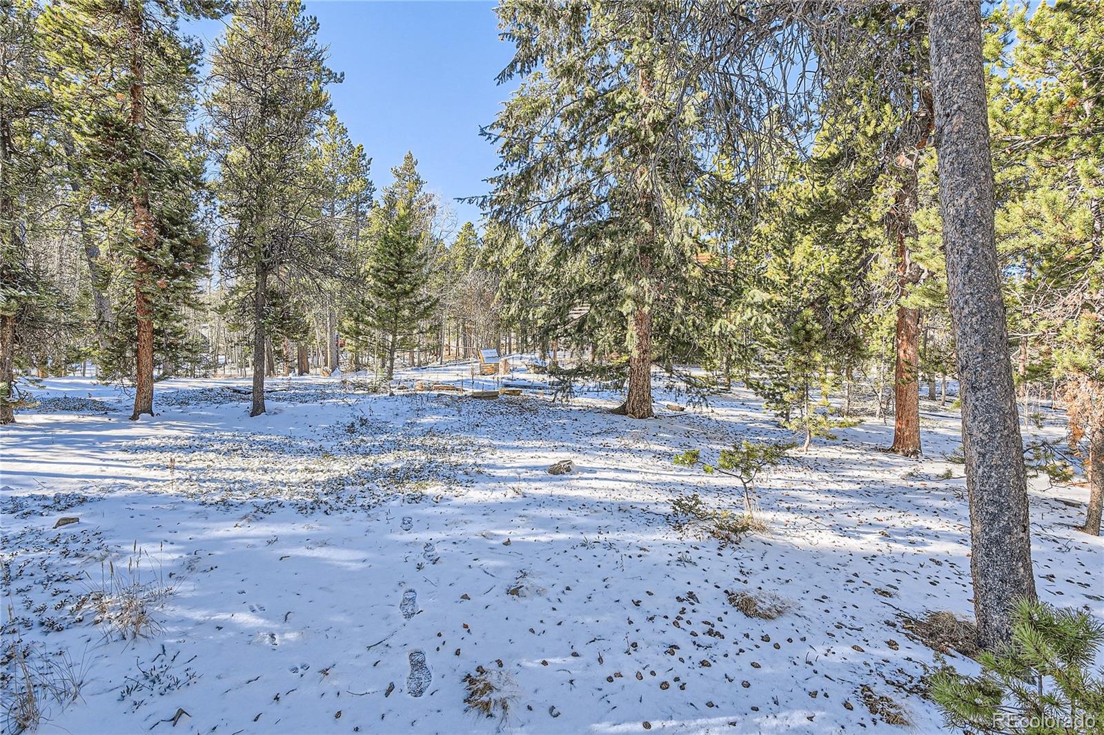 142 Tschaikovsky Road