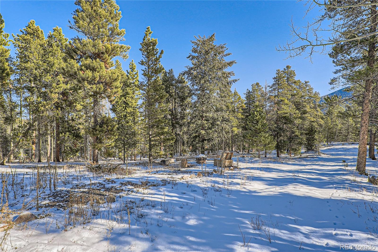 142 Tschaikovsky Road