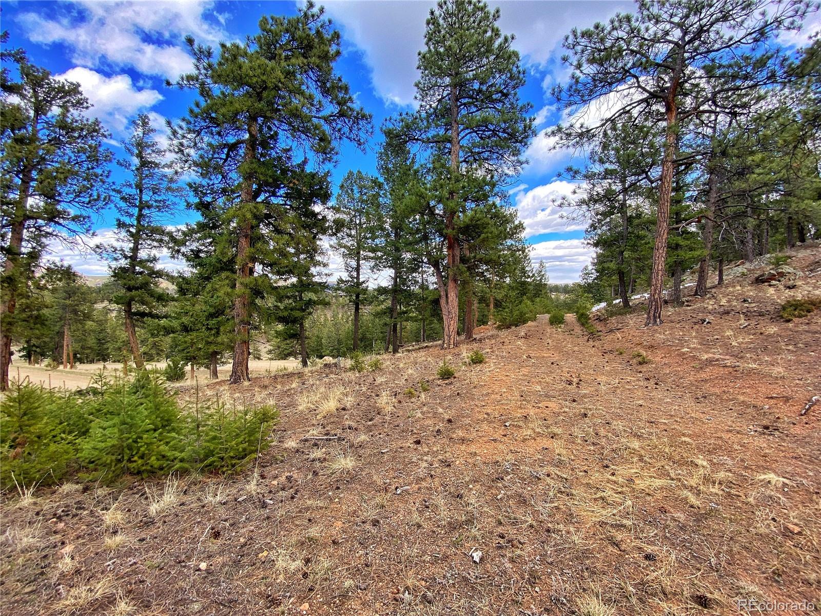 890 Lions Head Ranch Road