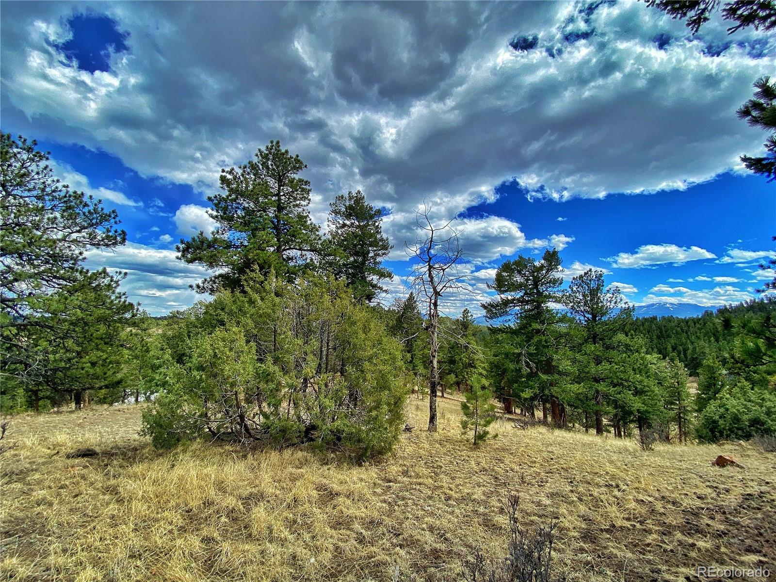 890 Lions Head Ranch Road