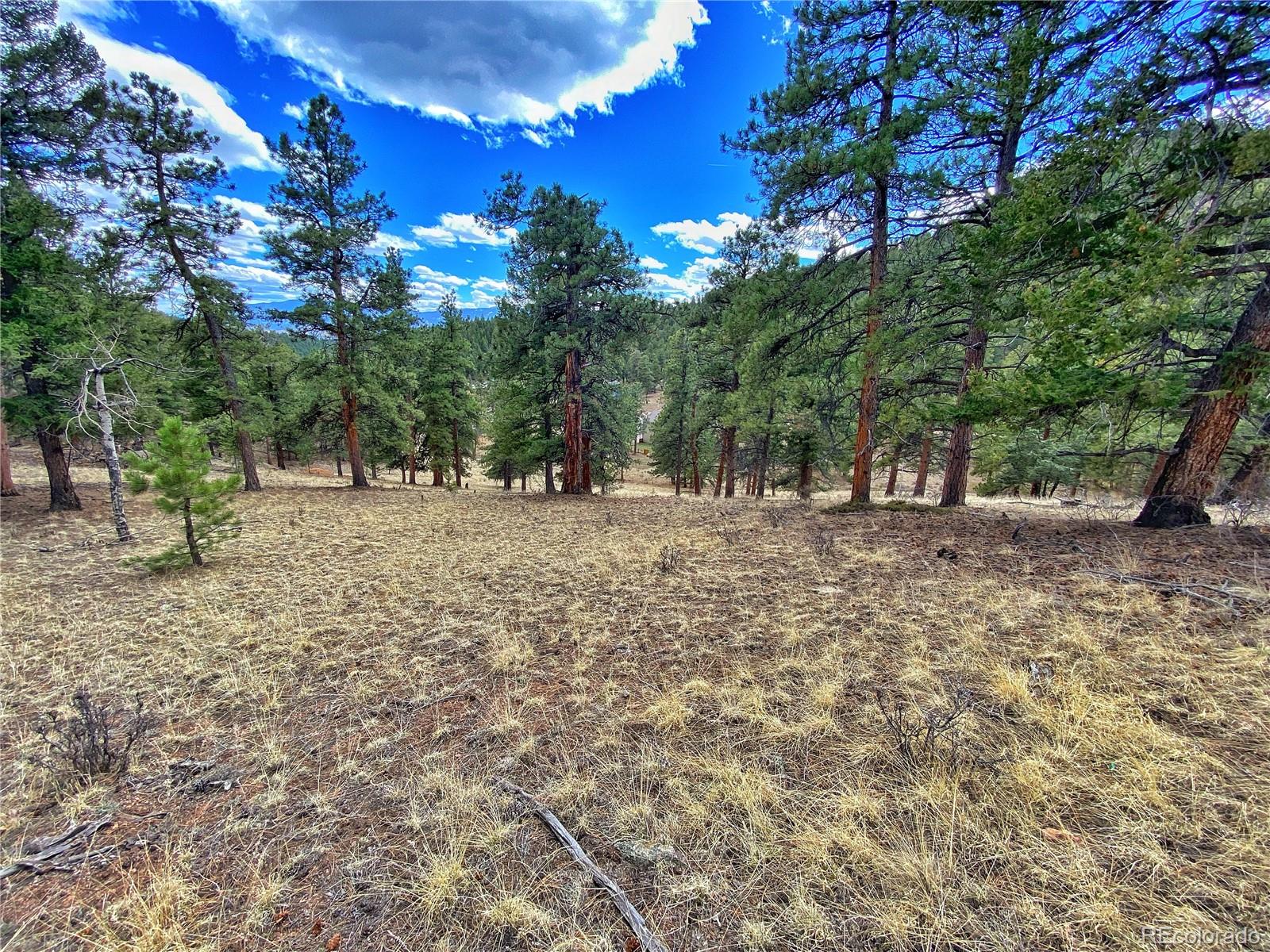 890 Lions Head Ranch Road