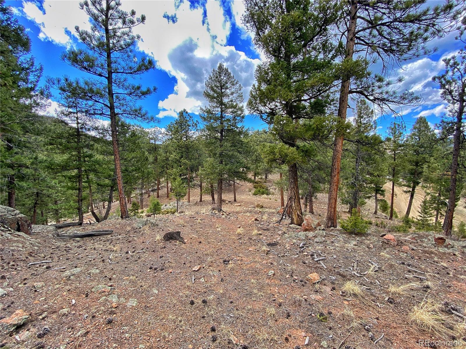 890 Lions Head Ranch Road