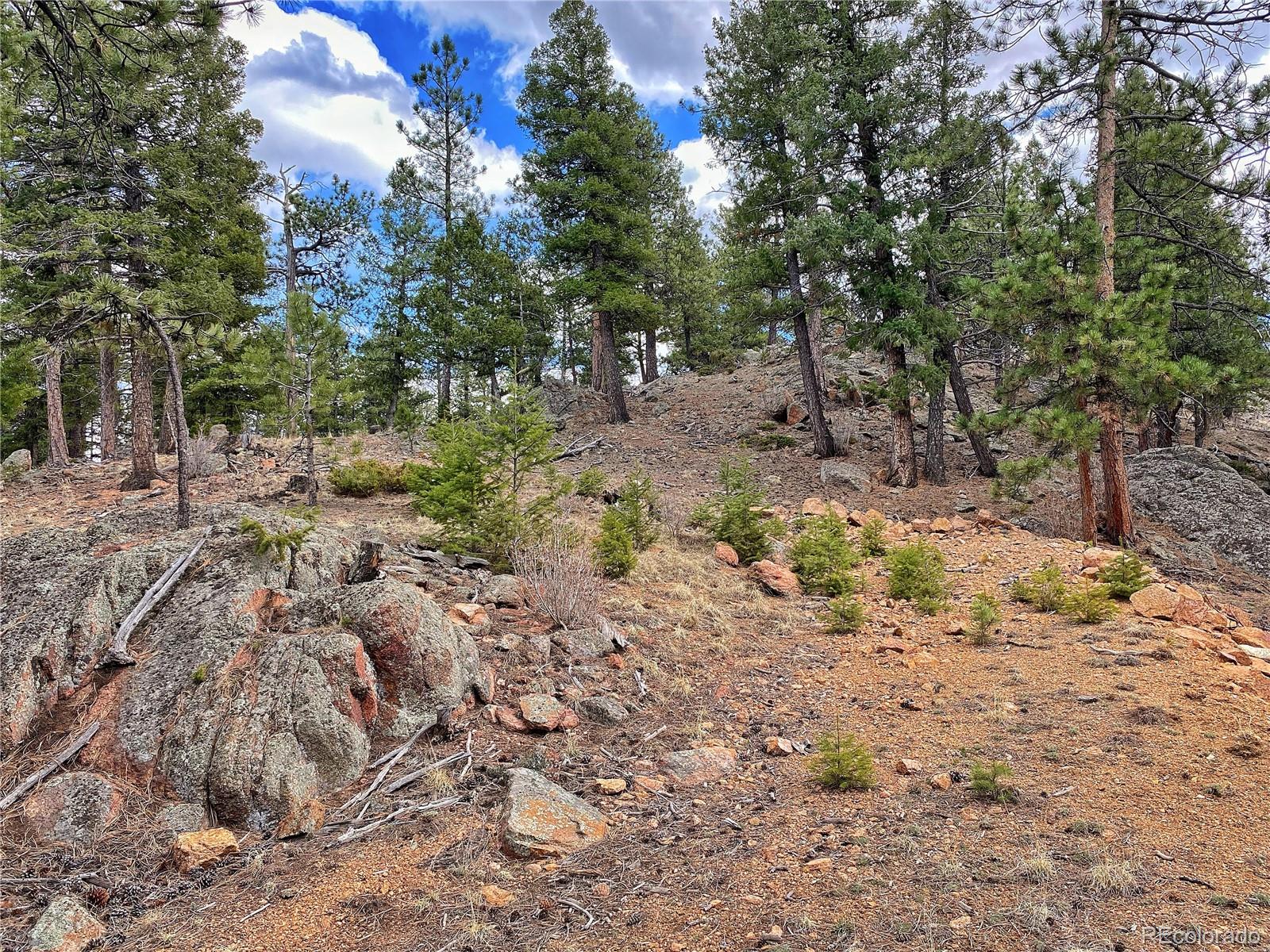 890 Lions Head Ranch Road