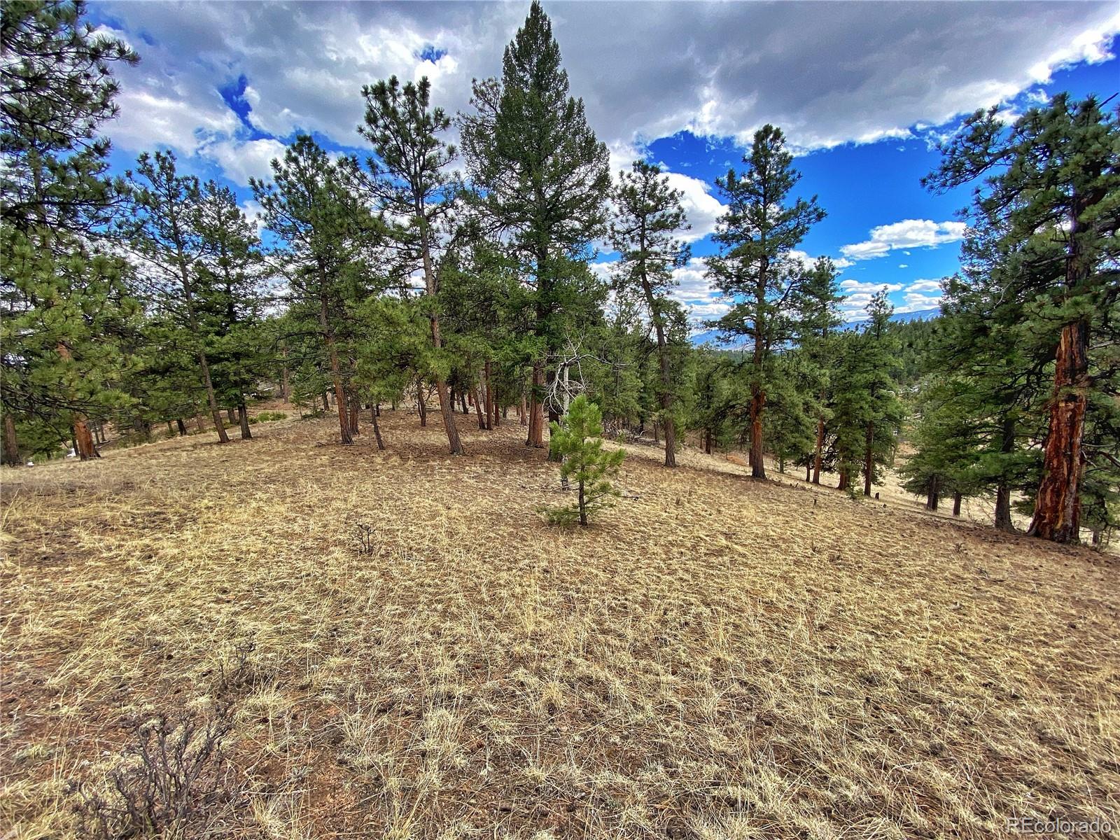 890 Lions Head Ranch Road