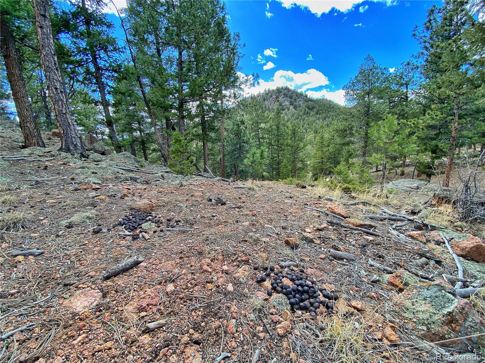 890 Lions Head Ranch Road