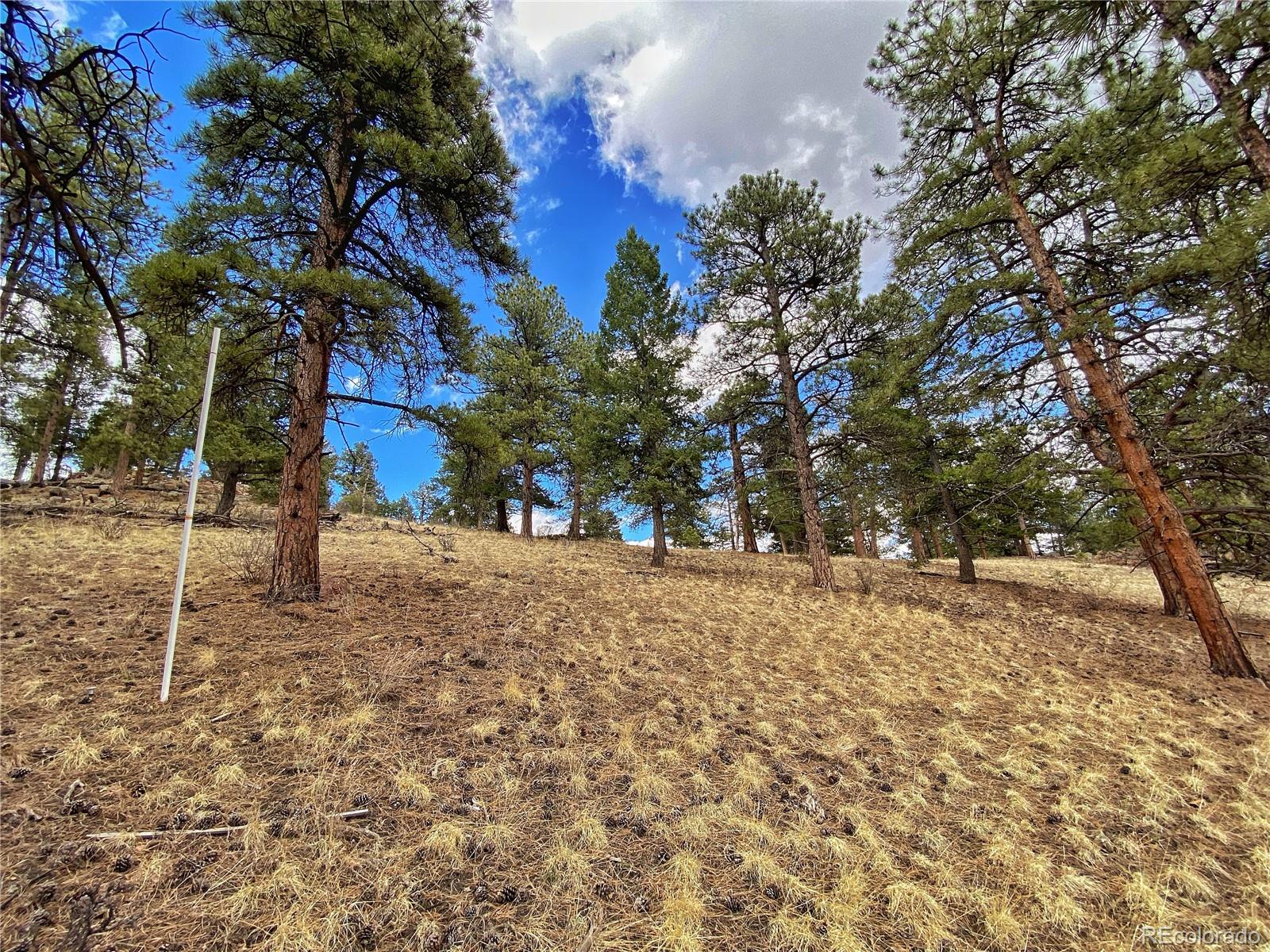 890 Lions Head Ranch Road