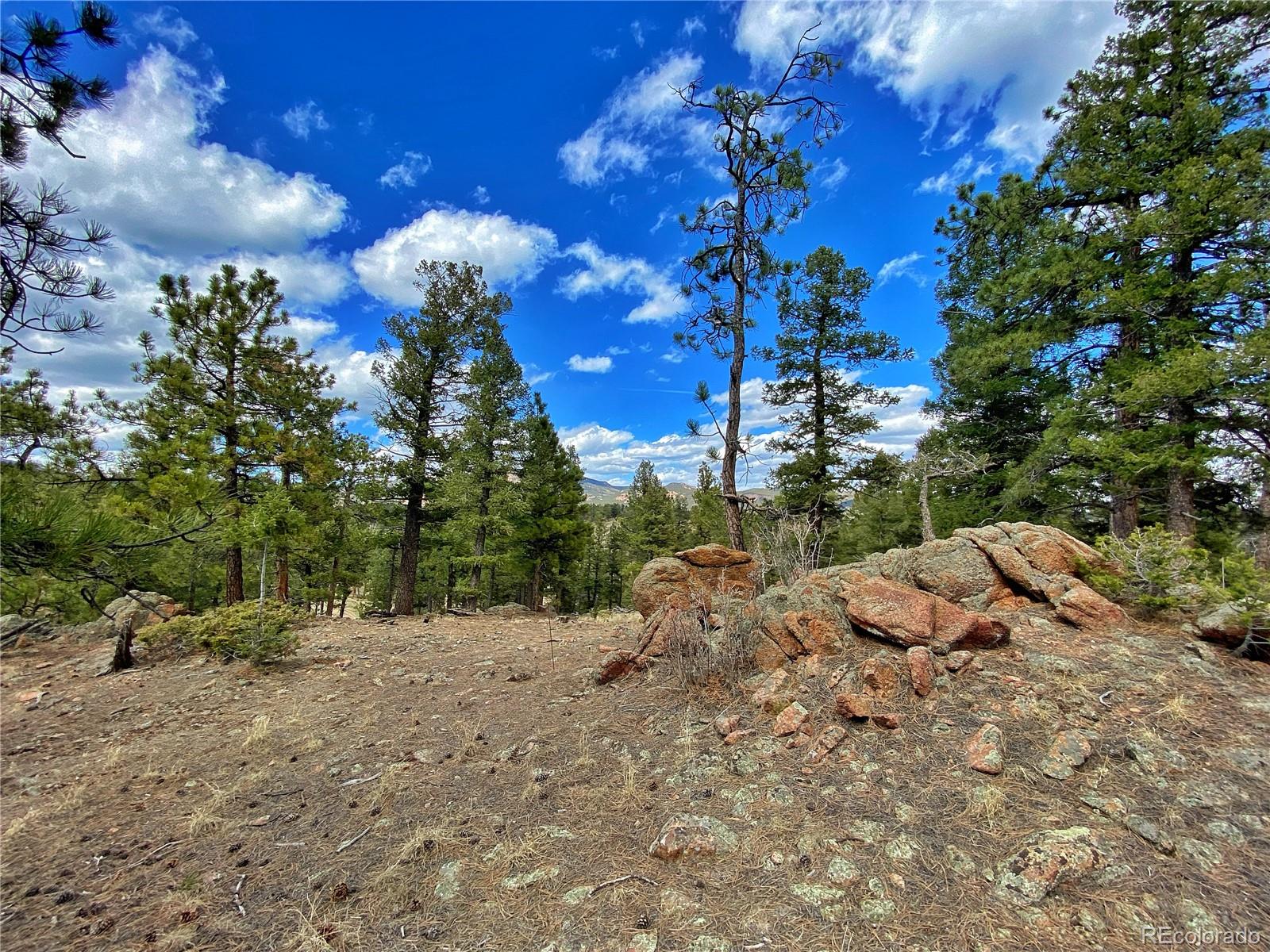 890 Lions Head Ranch Road