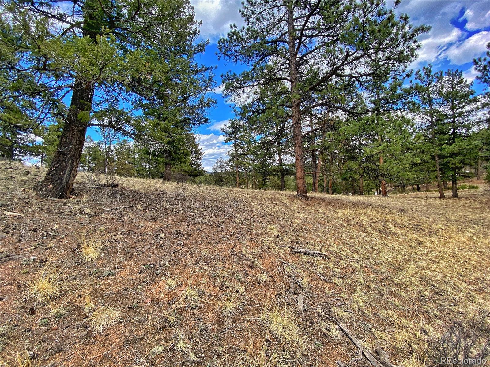 890 Lions Head Ranch Road