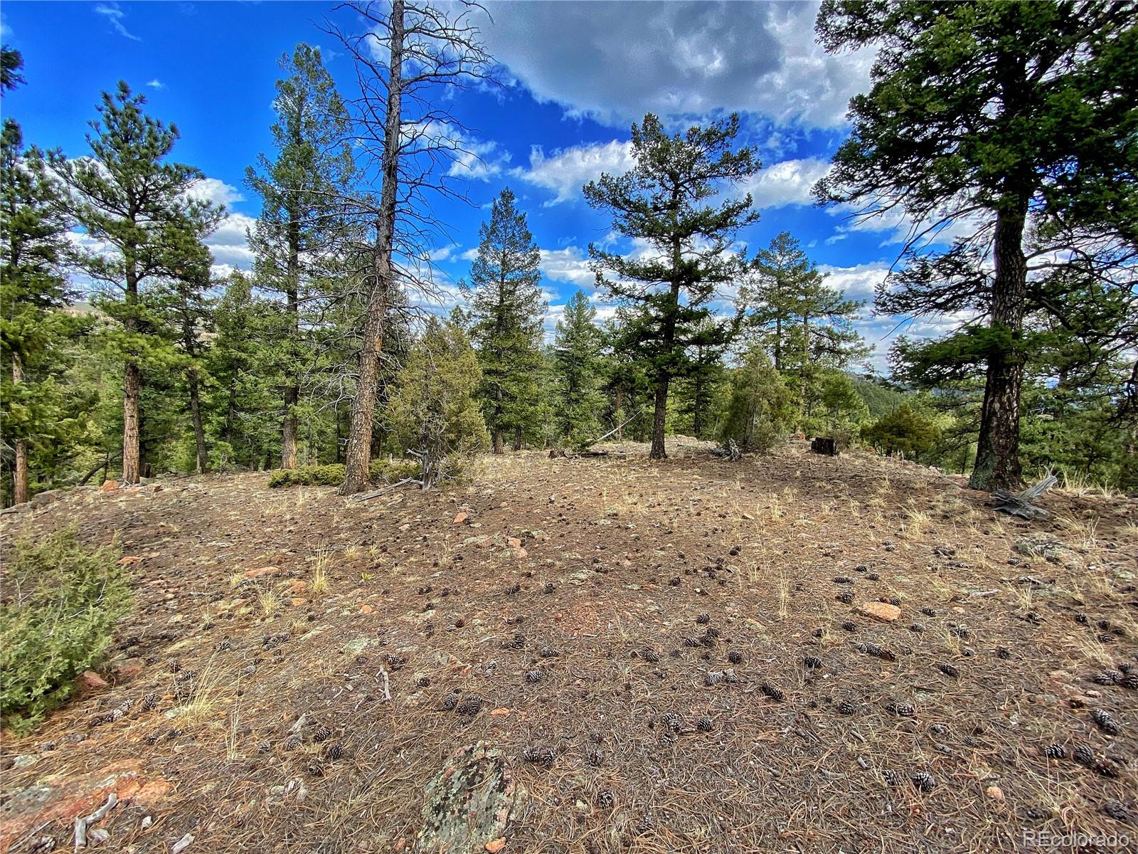 890 Lions Head Ranch Road