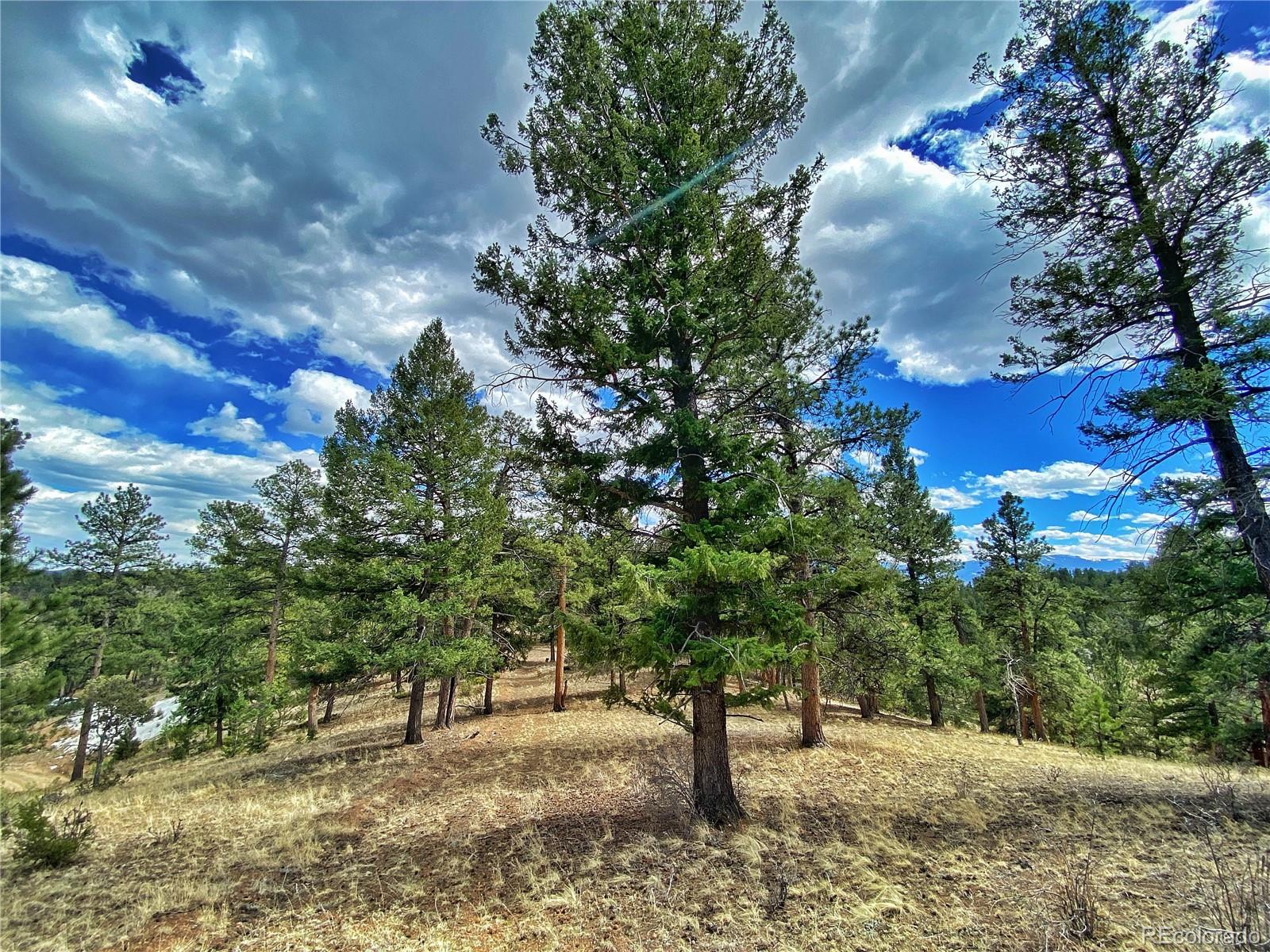 890 Lions Head Ranch Road