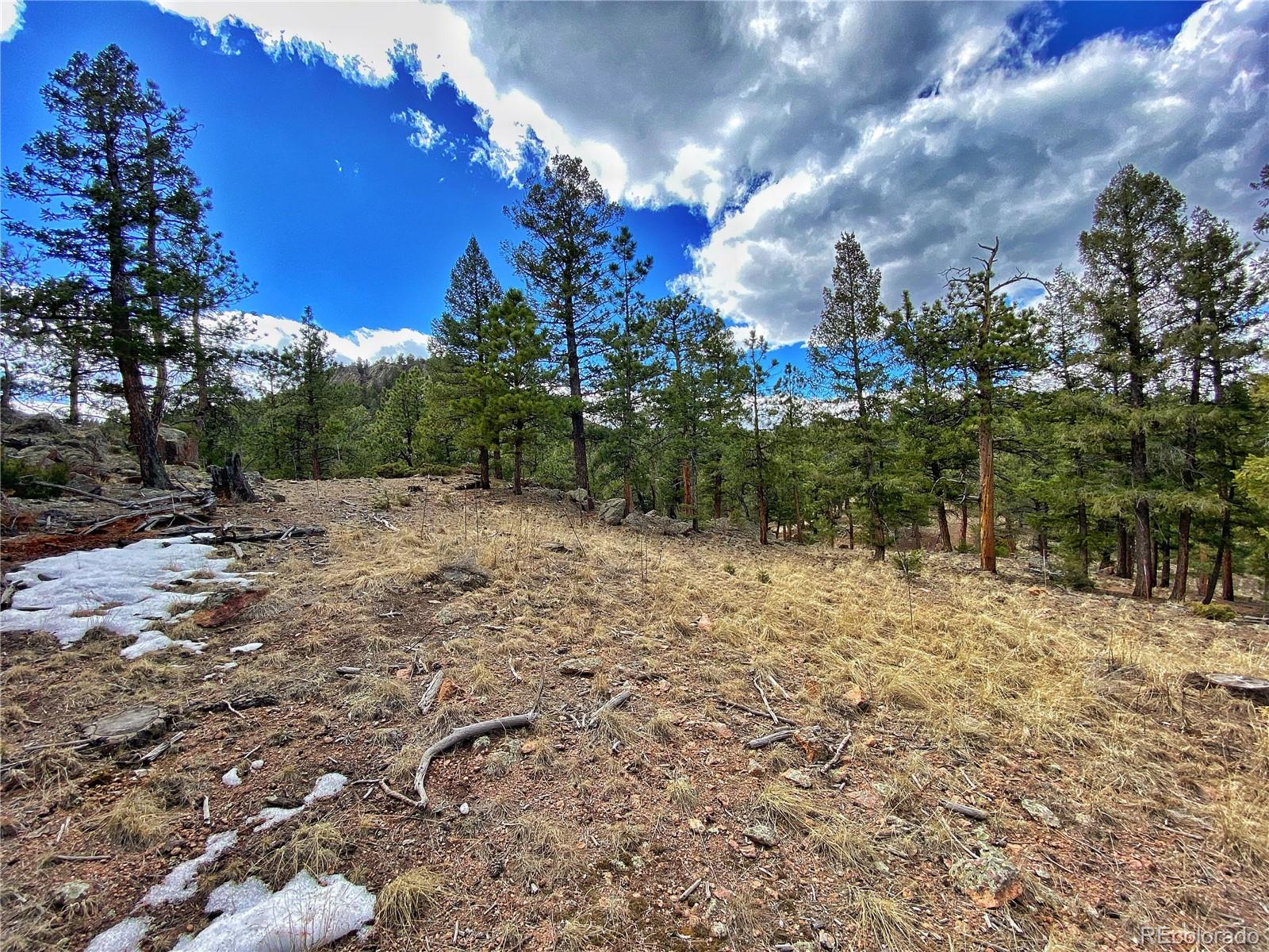 890 Lions Head Ranch Road