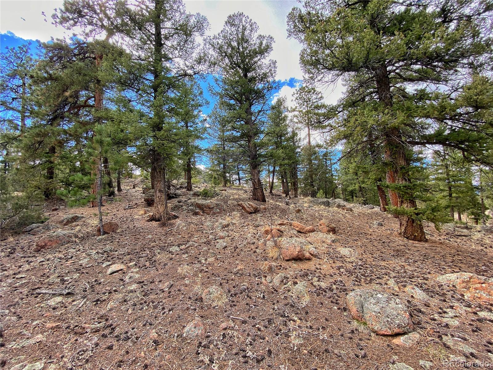 890 Lions Head Ranch Road