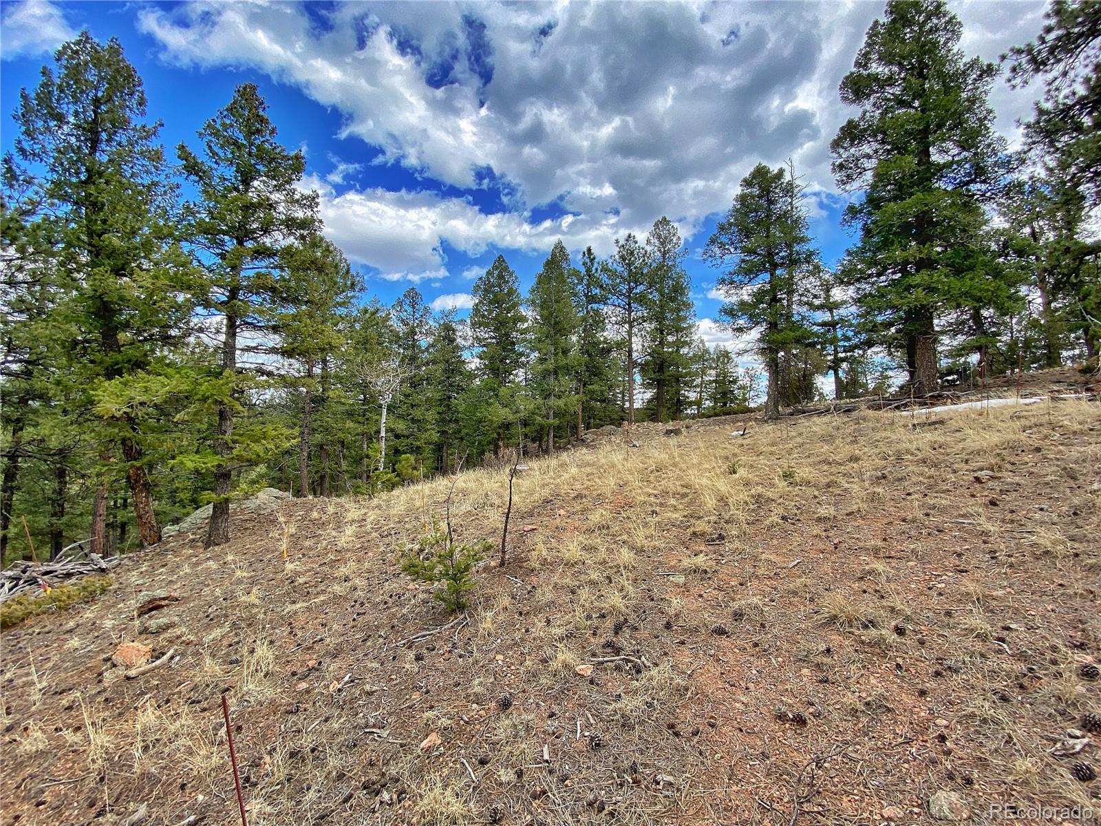 890 Lions Head Ranch Road