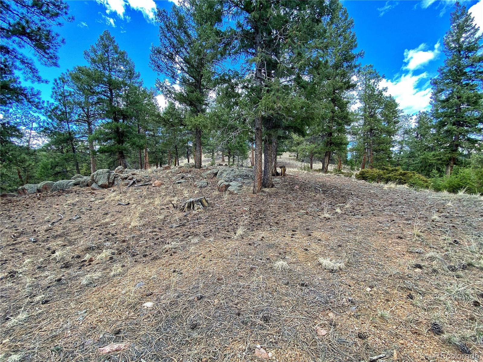 890 Lions Head Ranch Road