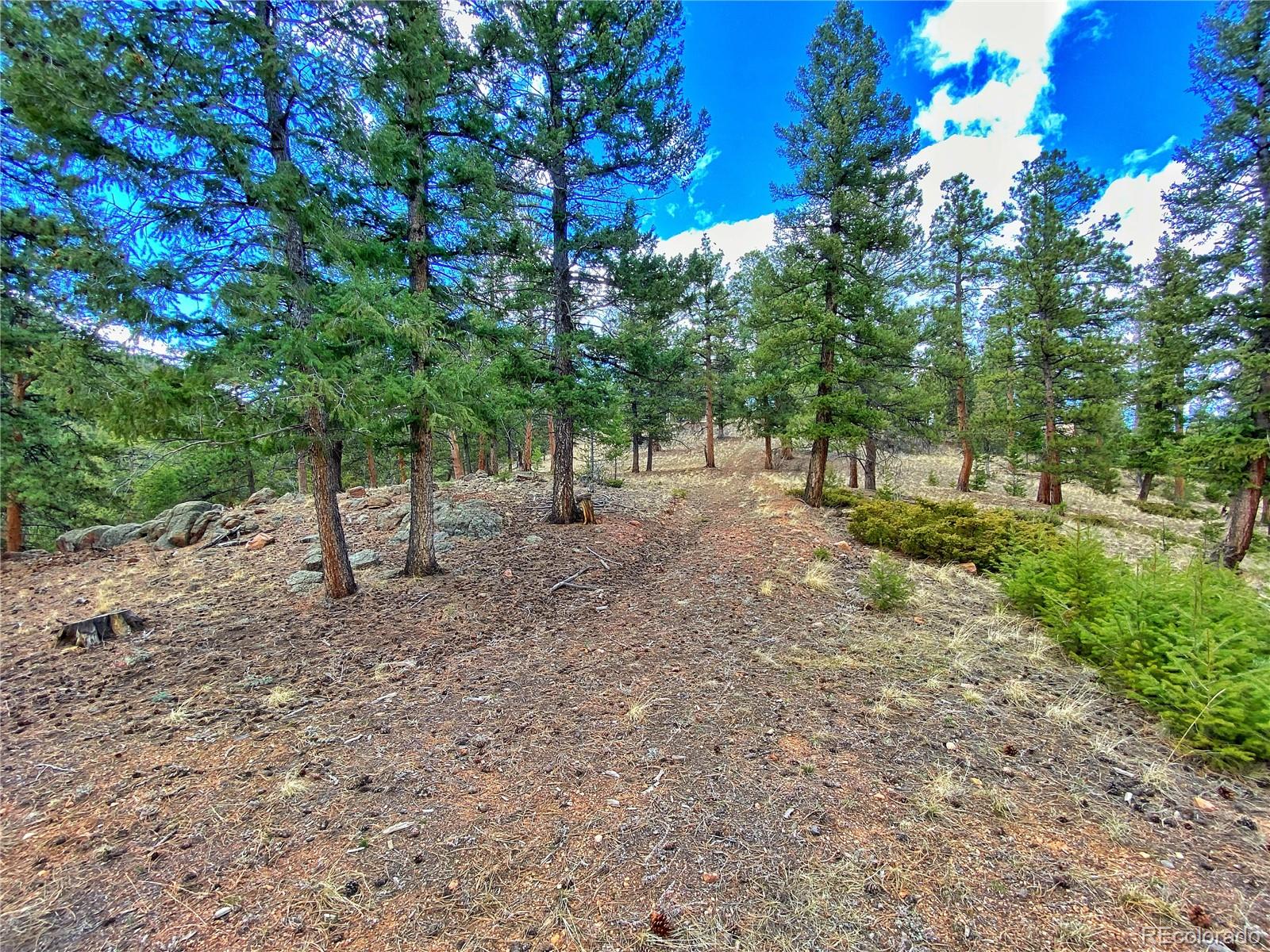 890 Lions Head Ranch Road