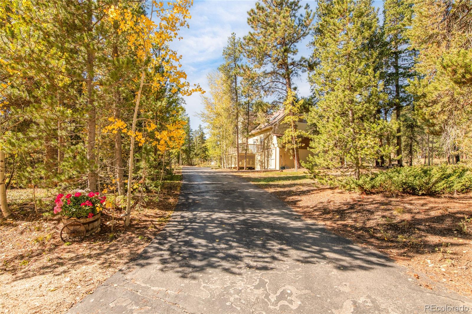 211 Cedar Way