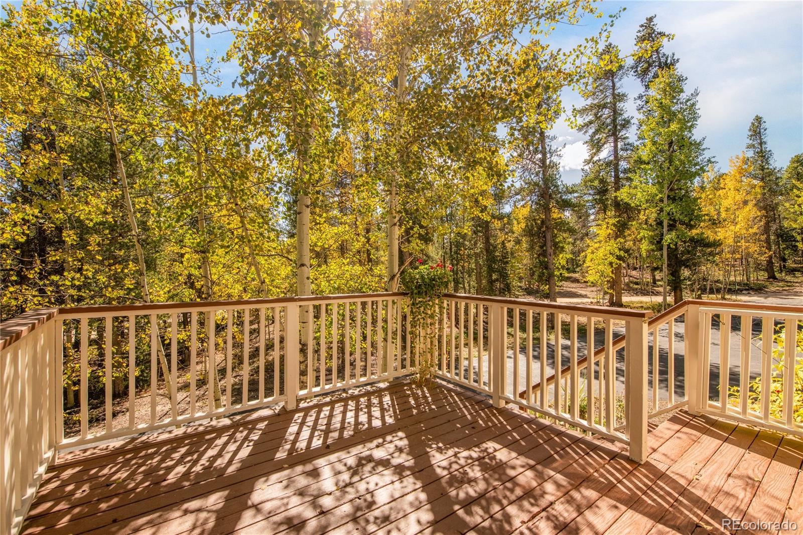 211 Cedar Way