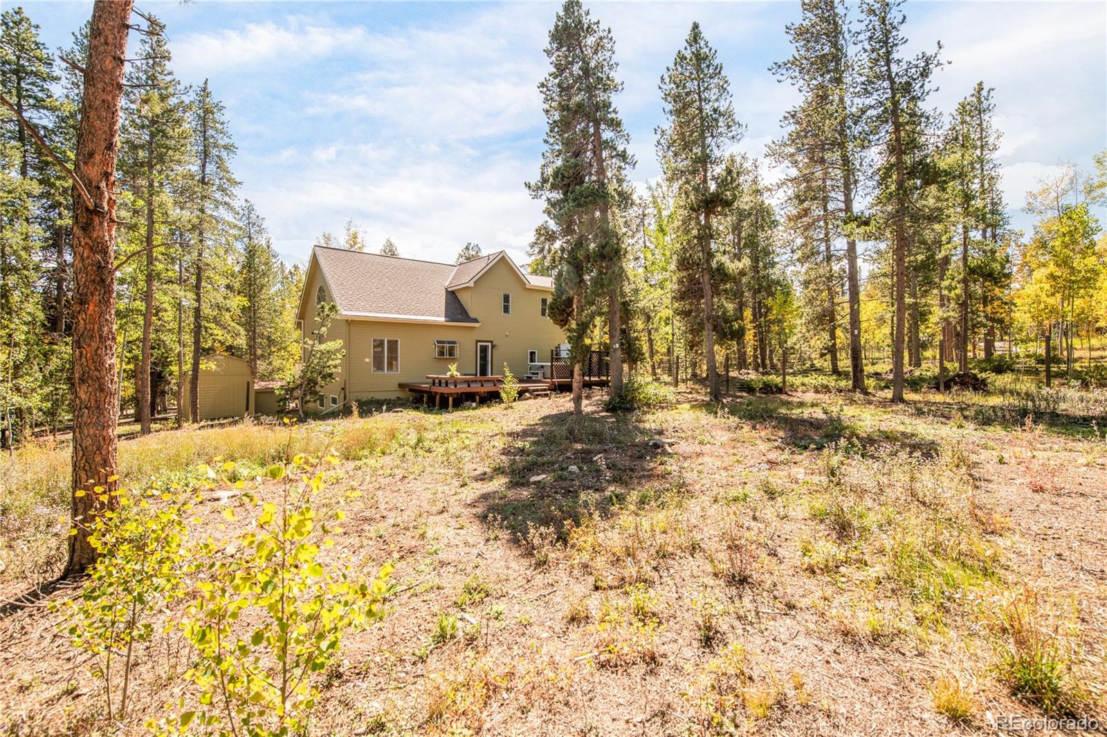 211 Cedar Way