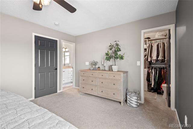 3821 Morning Glory Drive