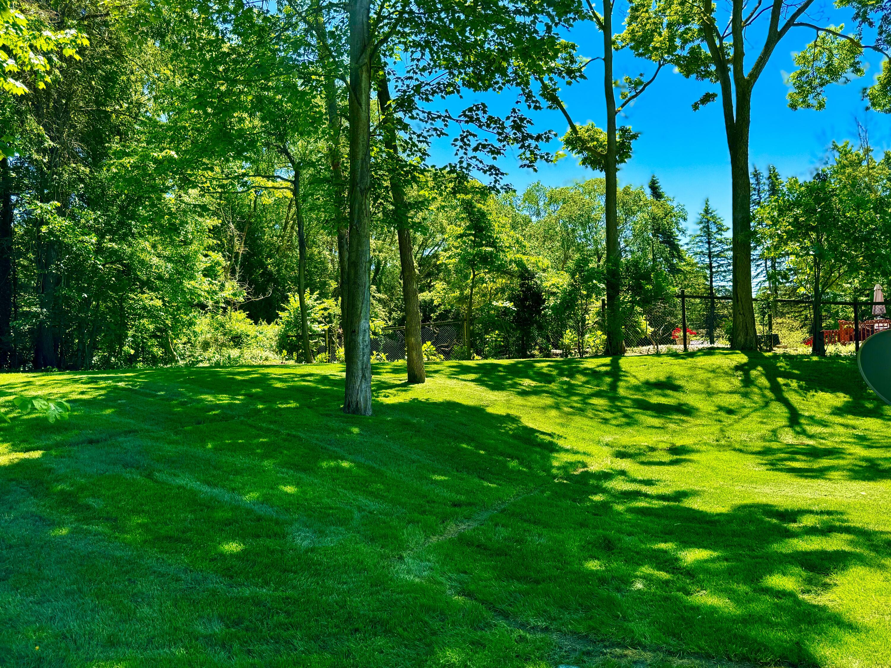 2072 Hidden Pines Trail