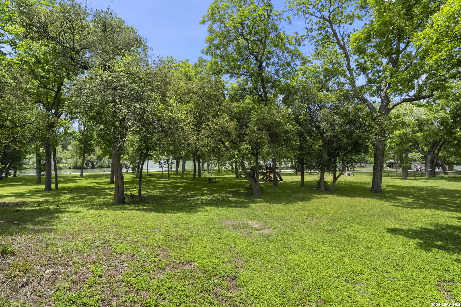 981 Rio Verde
