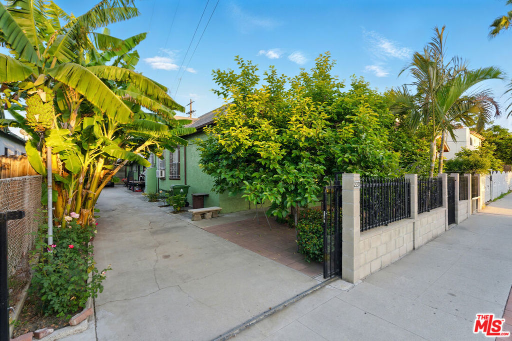 Green residence behind a black metal gate, framed by banana plants and palms.