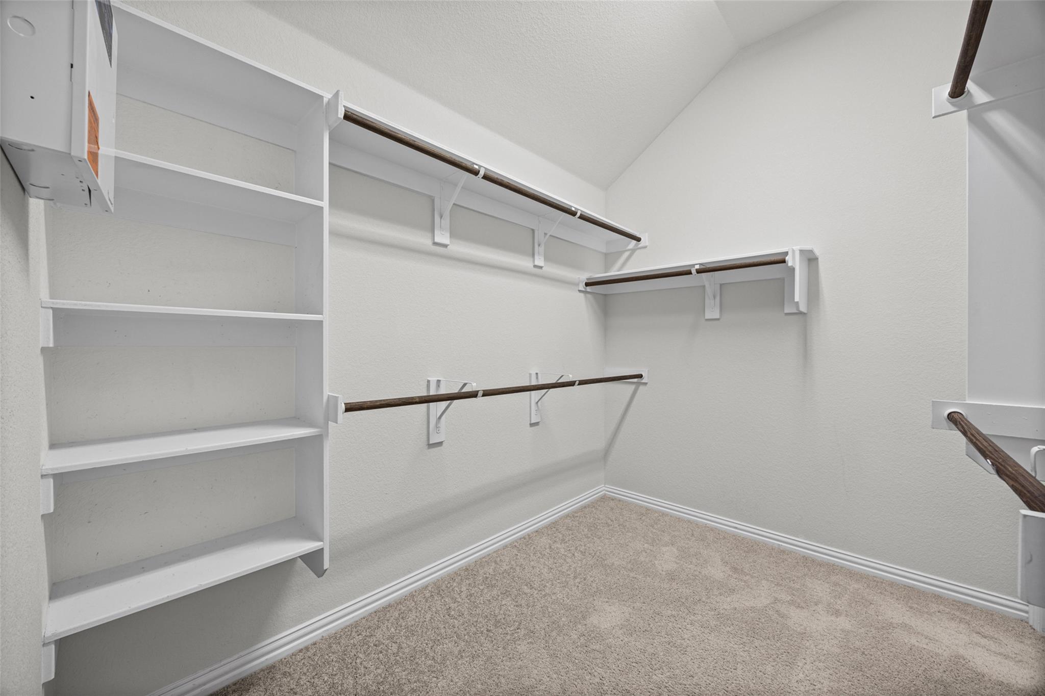 Walk-in closet with built-in white shelves, several hanging rods, and beige carpet.