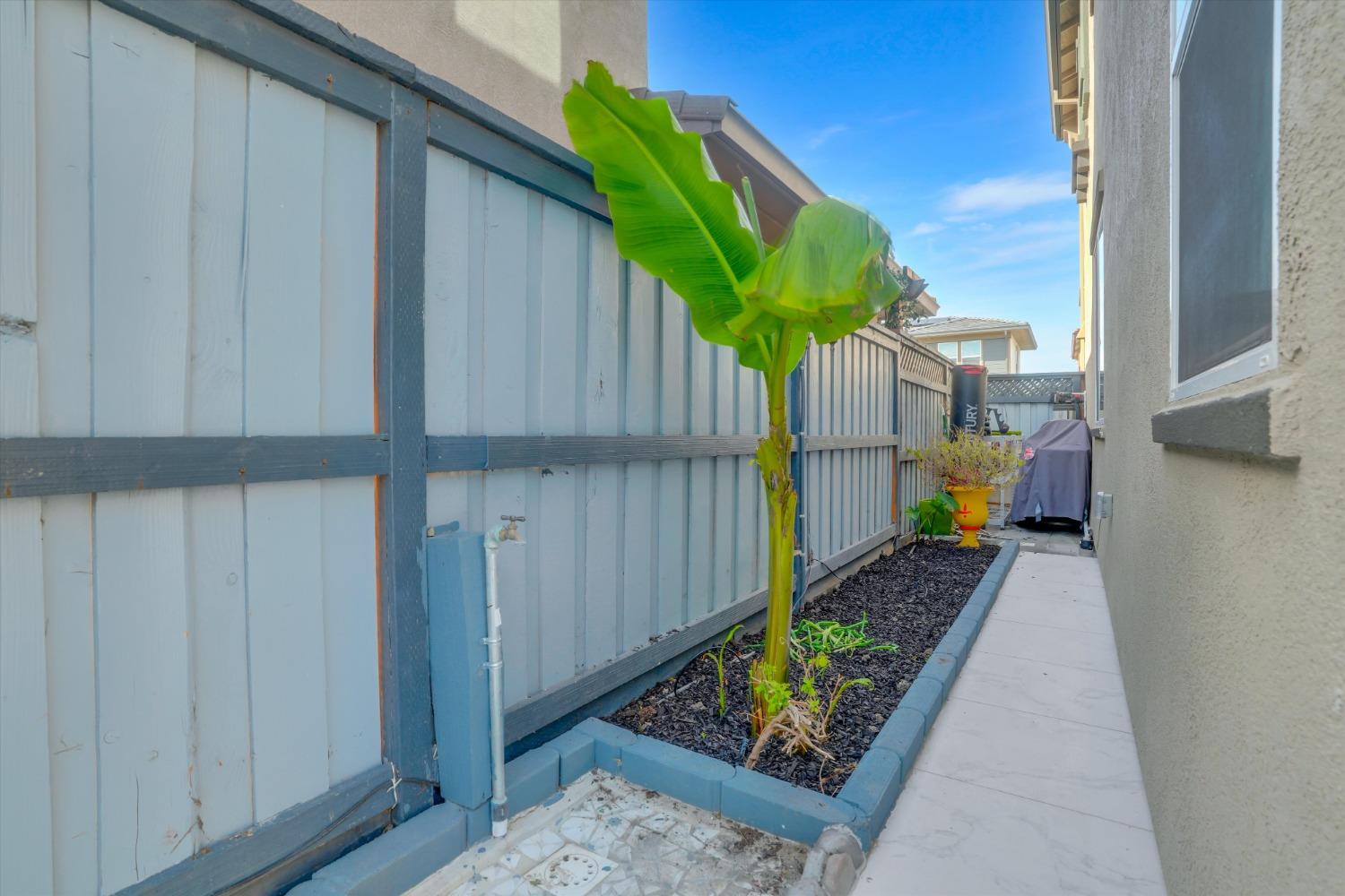 212 E Giacconi Place