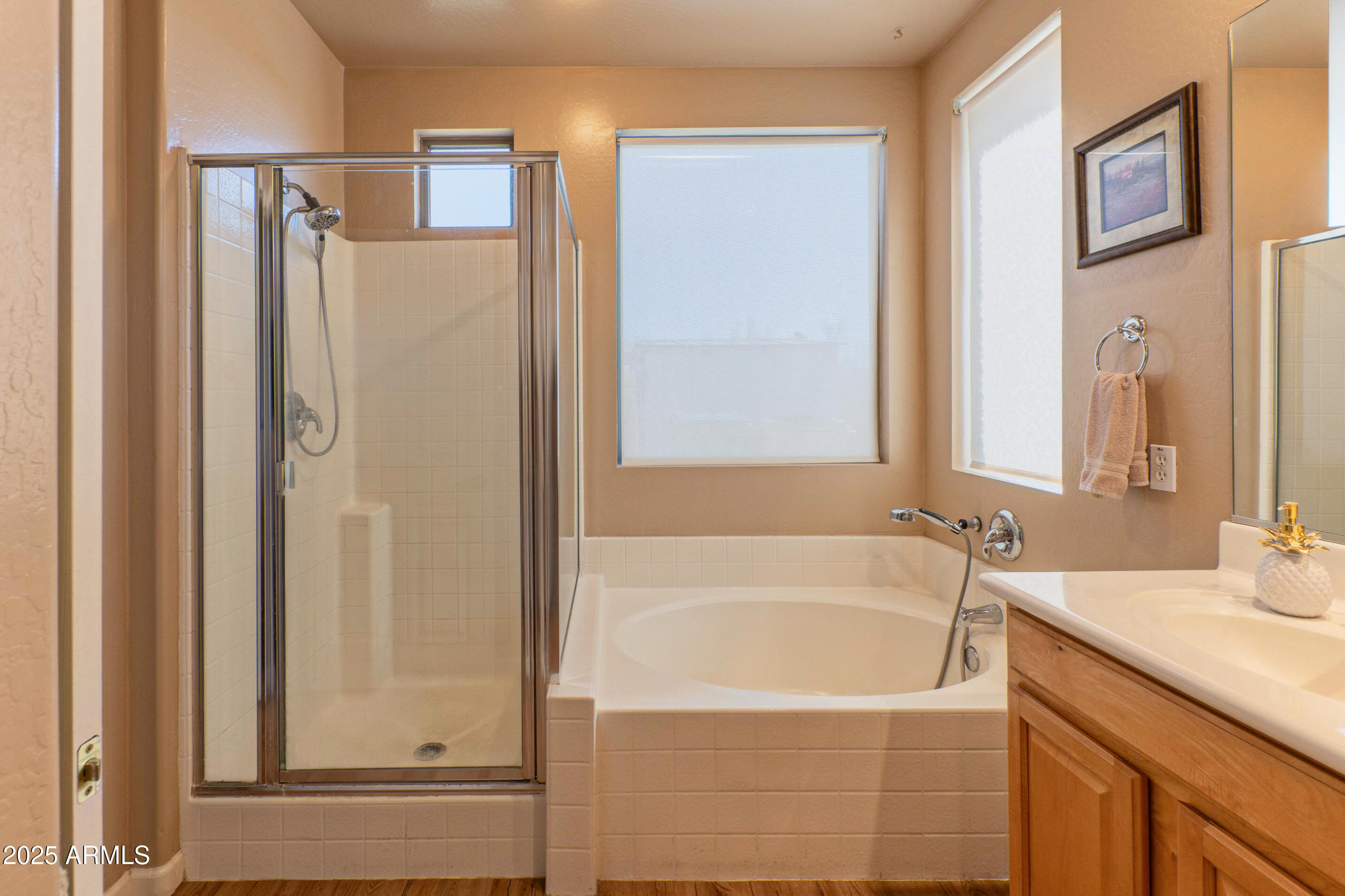 41019 N IRON HORSE Way