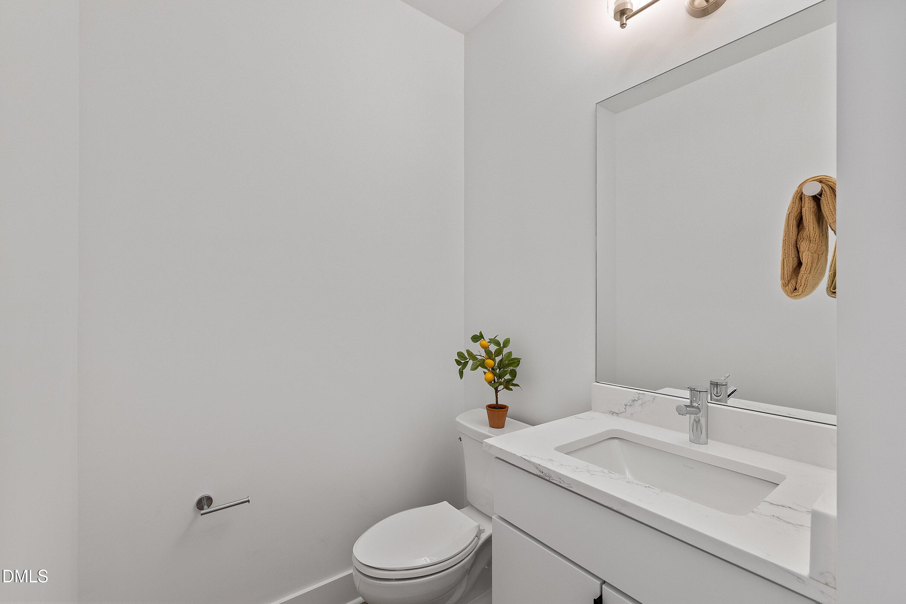 Compact bathroom with a white marble-look vanity, large mirror, and toilet topped with a potted citrus tree.
